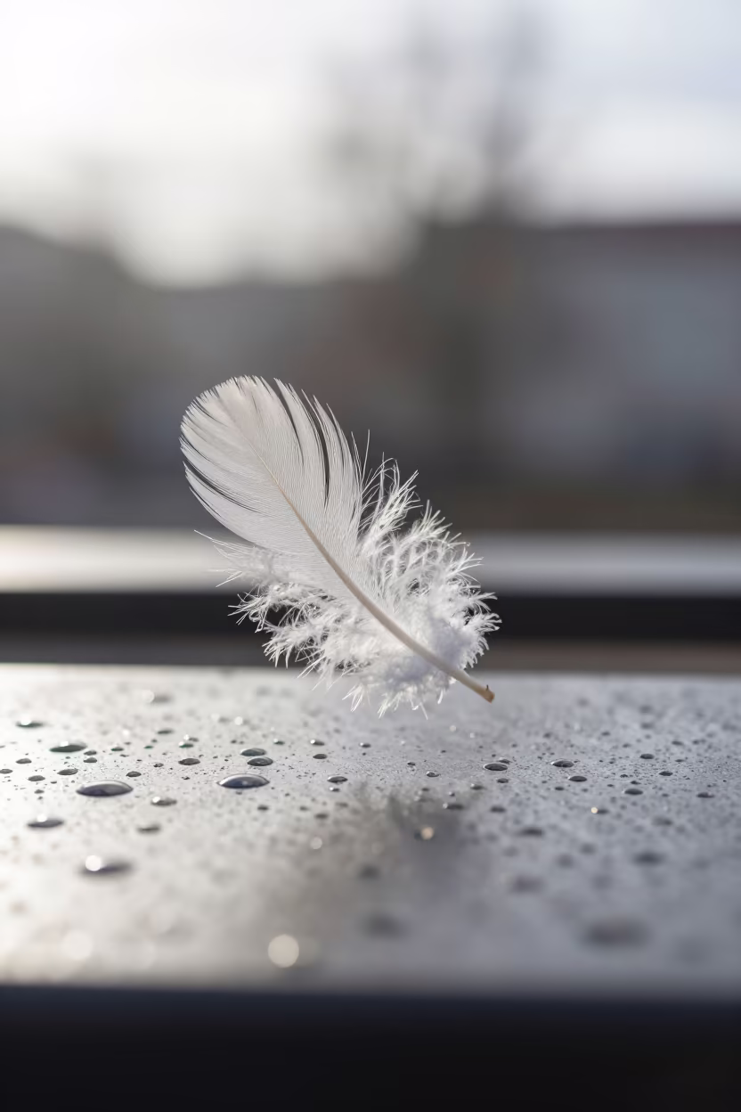 Winter Feather Rain Beads Kazan Macro in across a rain-beaded metal surface in Kazan