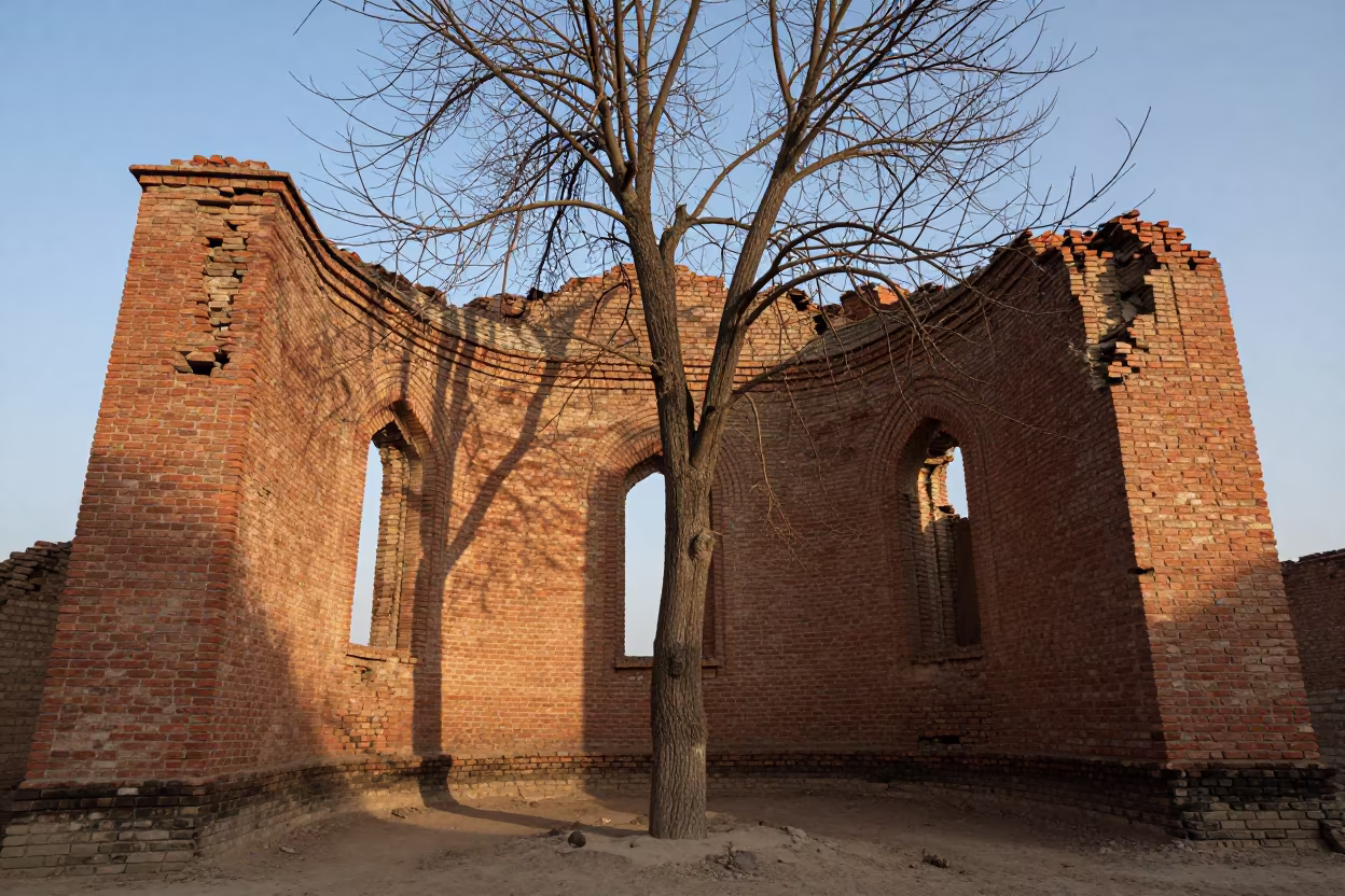 Winter Fig Tree in Kyrgyz Ruined Nave in inside a roofless nave in Kyrgyzstan