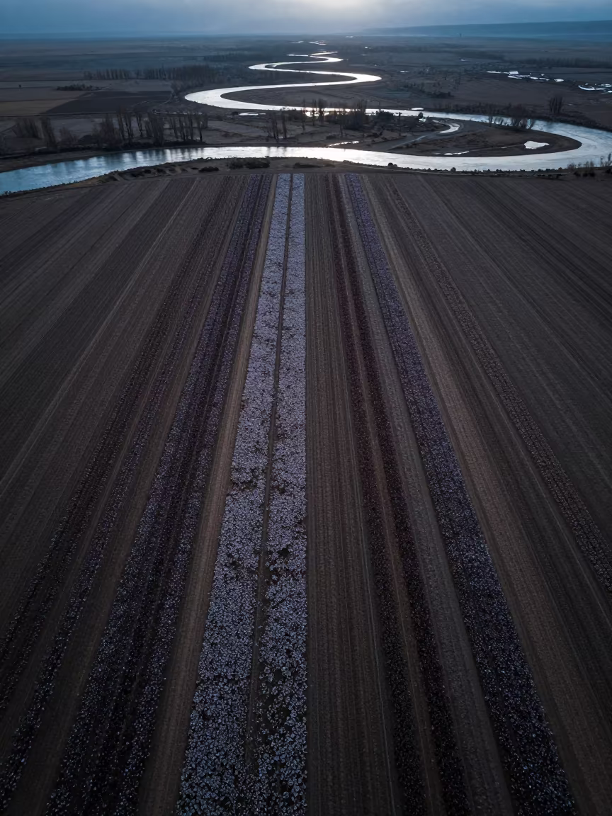 Winter Flower Fields Above Tajik River Meanders in far above river meanders in Tajikistan