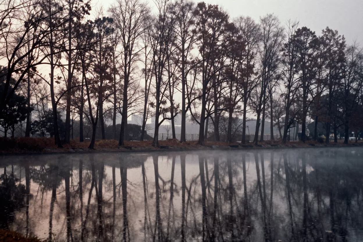 Winter Forest Lake Reflection Shanghai in near Shanghai