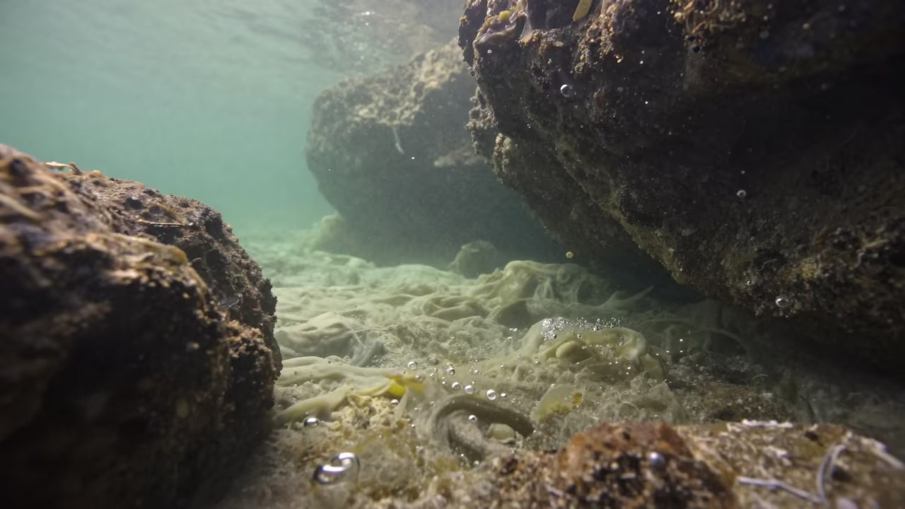 Winter Hydrogen Sulfide River Cave Close-up in near Sarona, Tel Aviv