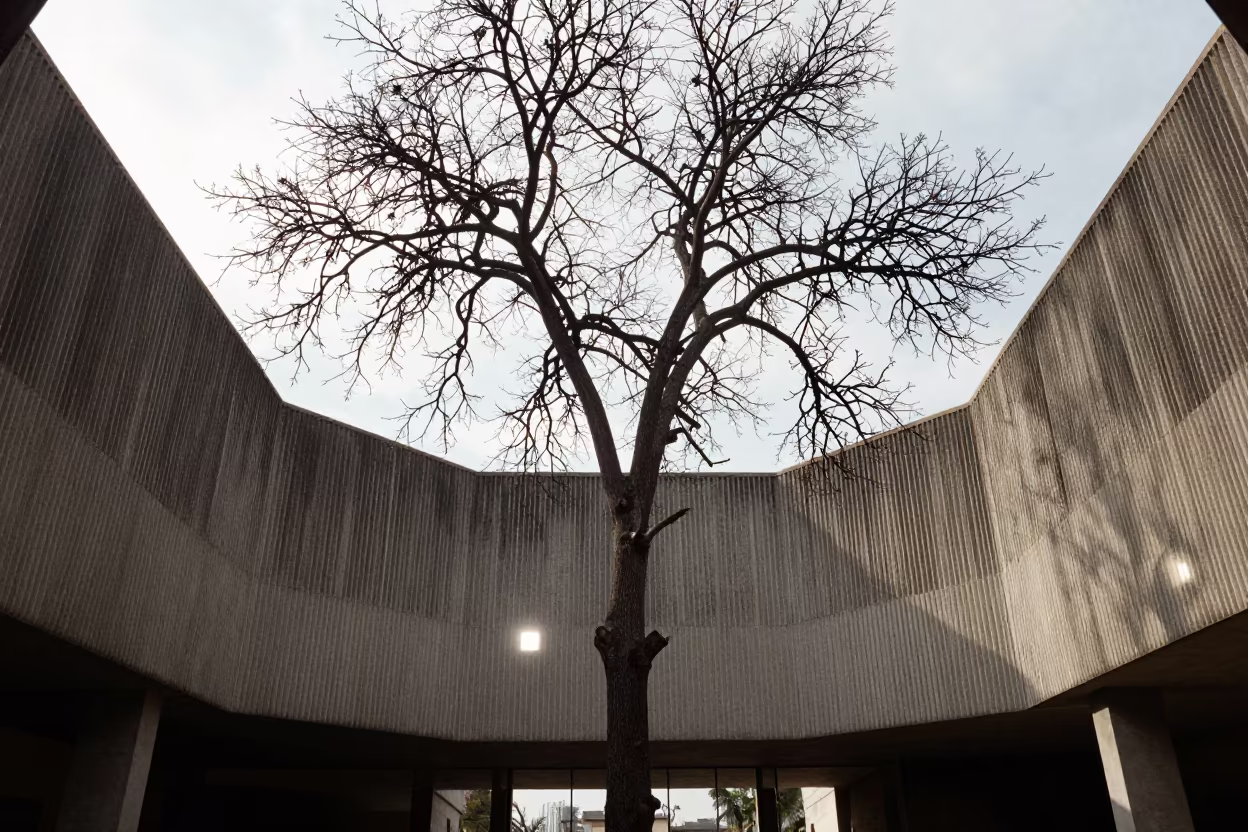 Winter Oak Fractal Branches in Concrete Lobby in inside a ribbed concrete lobby in Misrata