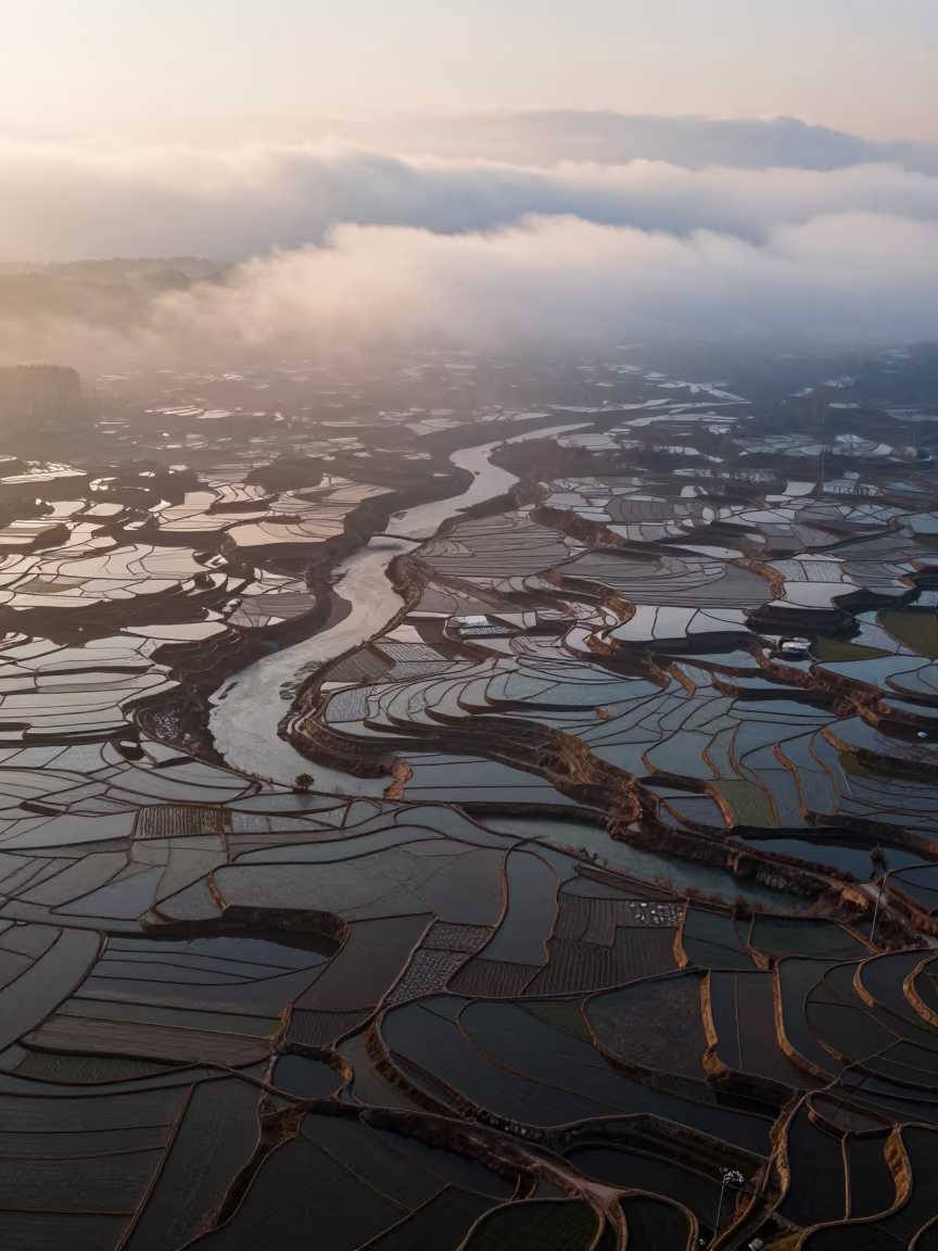 Winter Rice Terraces Above Braided River Shandong in high above braided river channels in Shandong