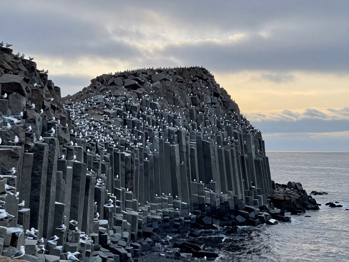 Winter Sea Stack with Seabirds in Japan in across a wide valley floor in Japan