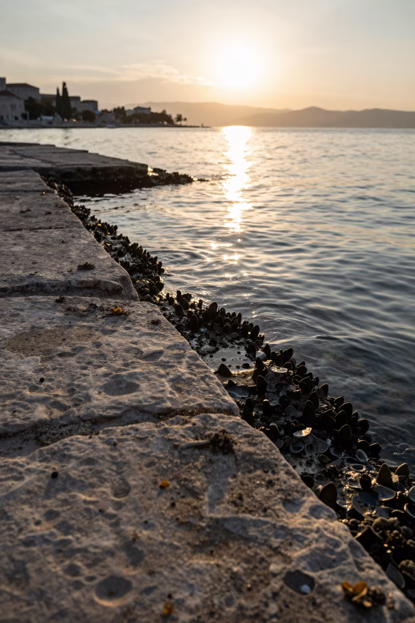 Winter Sunset Tide Pool Diocletian Palace Split in above a cold-water reef edge in Diocletian's Palace, Split