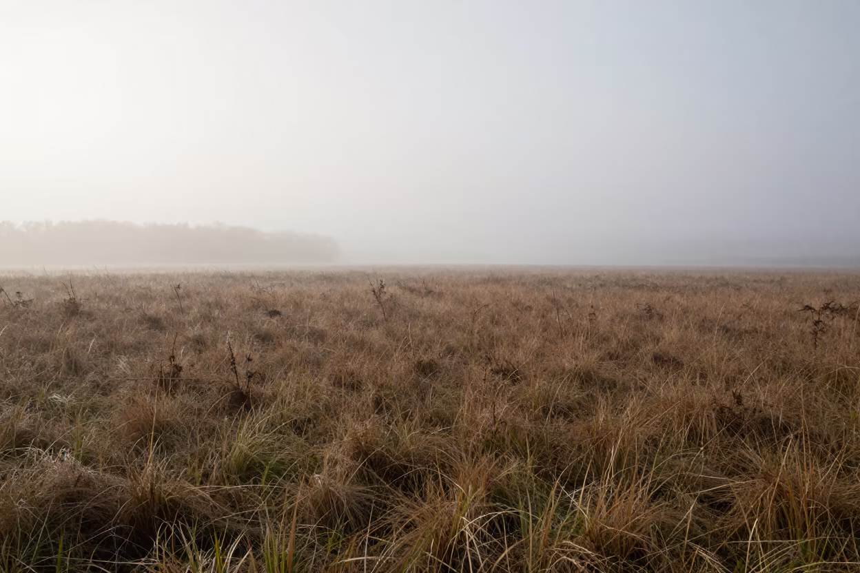 Winter Valley Fog Over Kansas Sage Grassland in across a wide valley floor near Kansas City