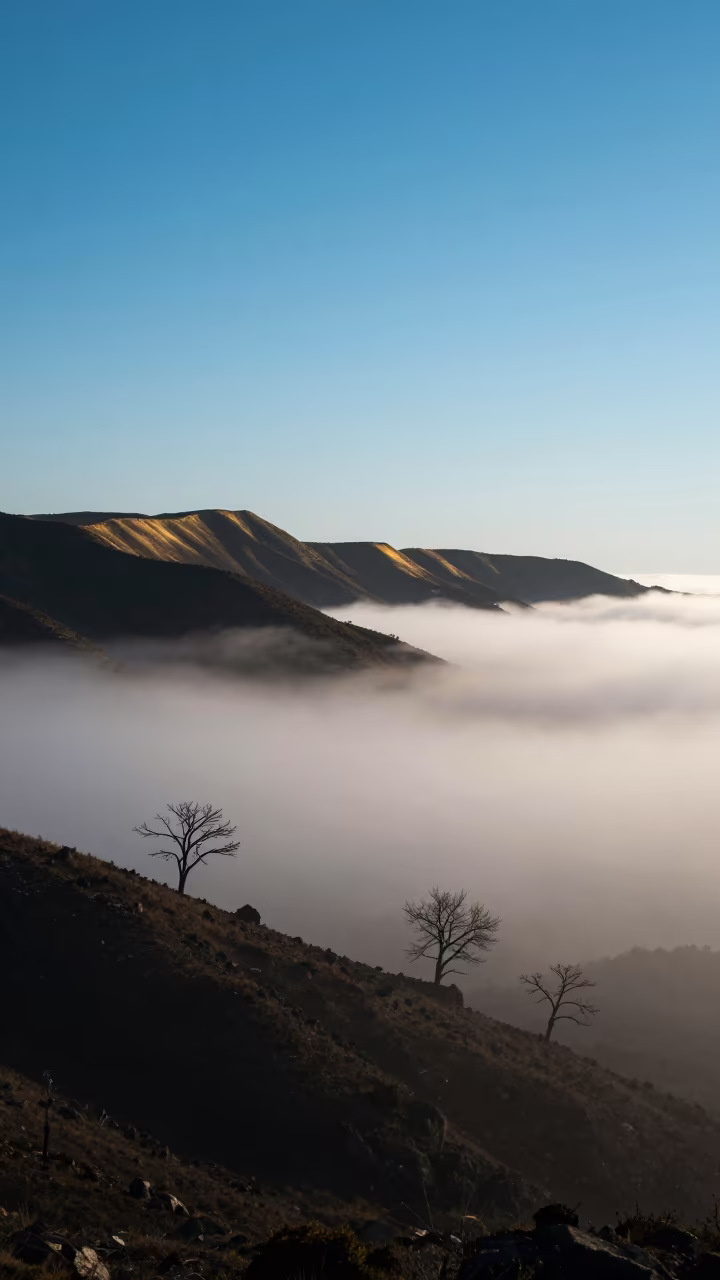 Winter Valley Fog Sea at Dawn Near Medina in near Medina, Essaouira