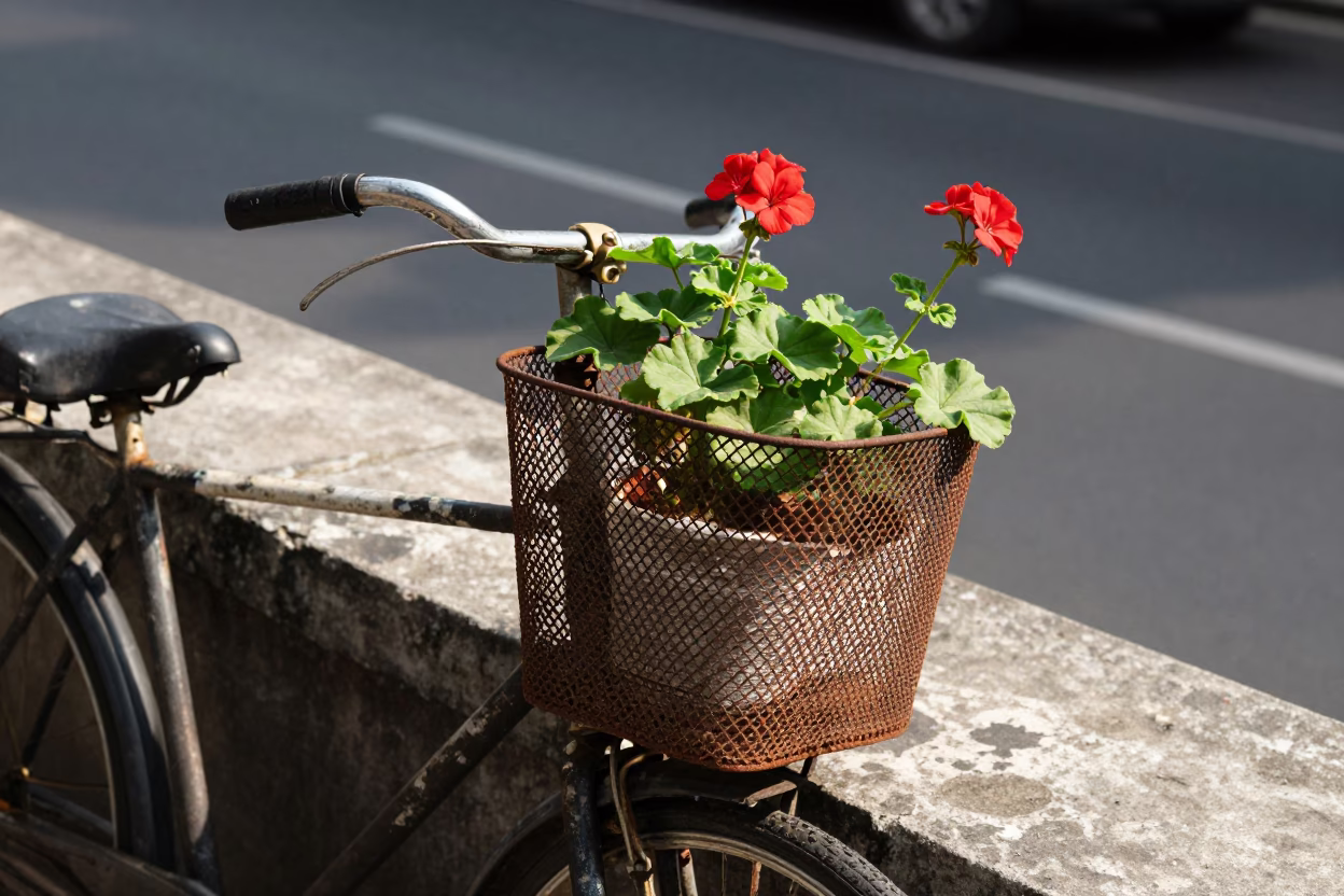 Wire Bicycle Basket in Surabaya in in Surabaya, Indonesia
