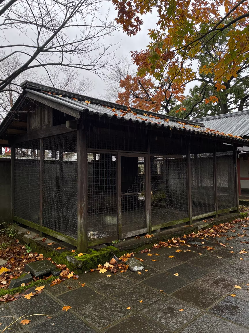 Wire Mesh Ruin in Kanto Ceremonial Court in through an abandoned ceremonial court in Kanto