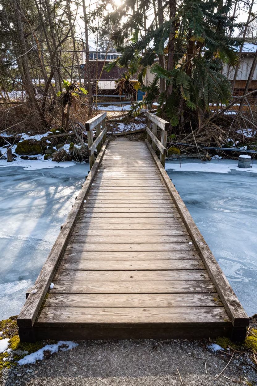 Wooden Bridge Over Frozen Brook in Snow in near Strathcona, Vancouver