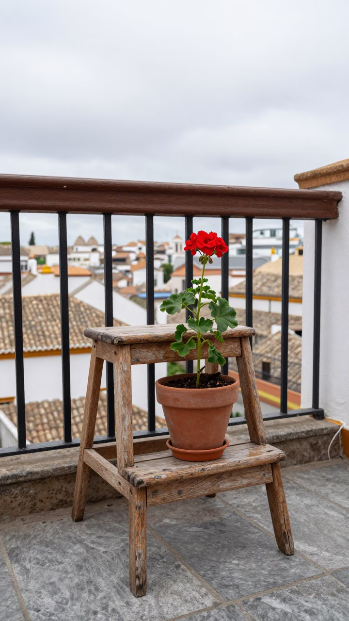 Wooden Step Stool in Seville in in Seville, Spain