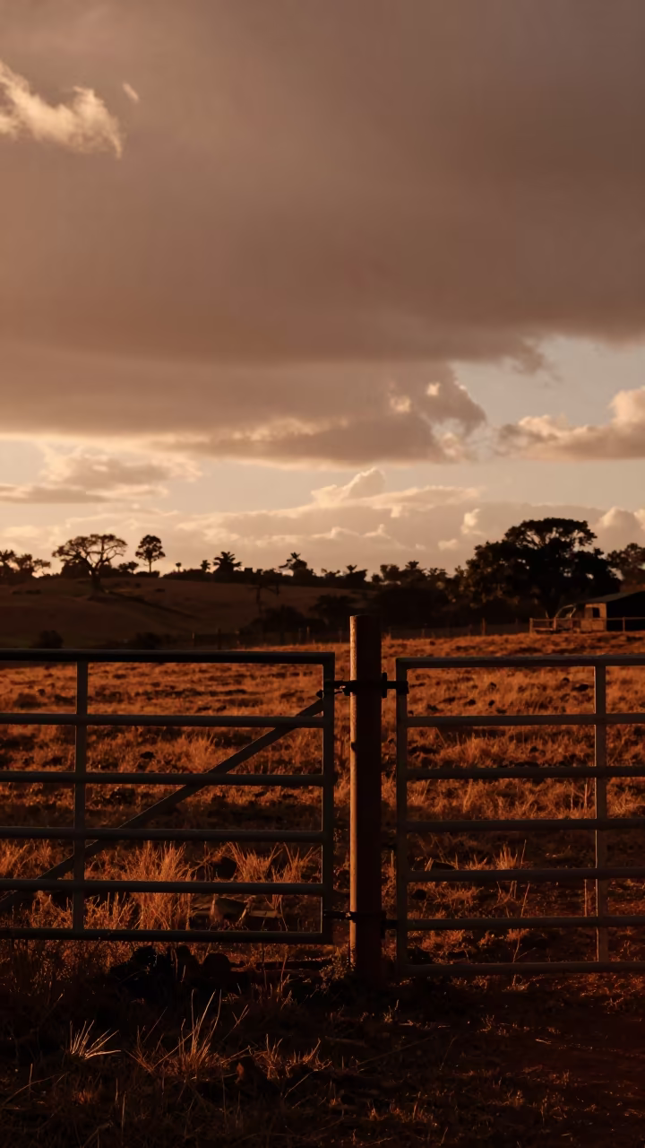 Wool Press Corner Silhouette Colombia Sunset in beside a pasture gate in Colombia