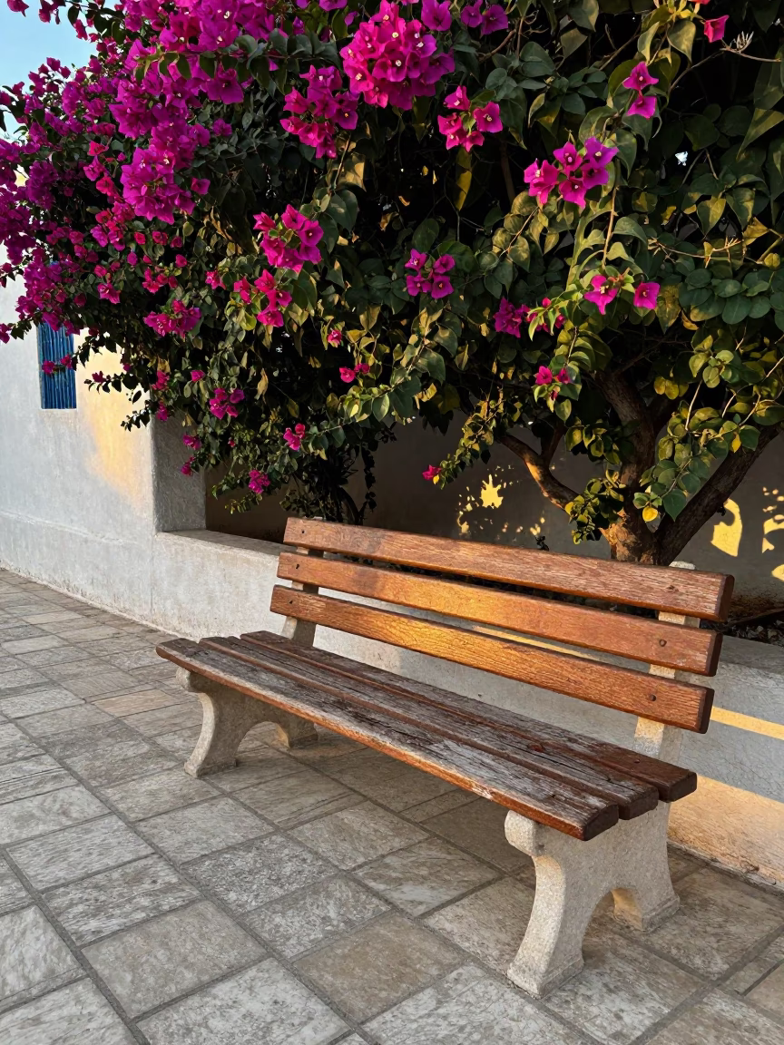 Worn Wooden Park Bench in Tunis in in Tunis, Tunisia