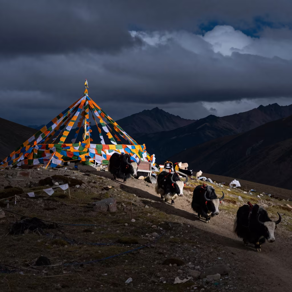 Yak Caravan Night Descent Near Lhasa Summit in beside a summit cairn above the tree line near Lhasa