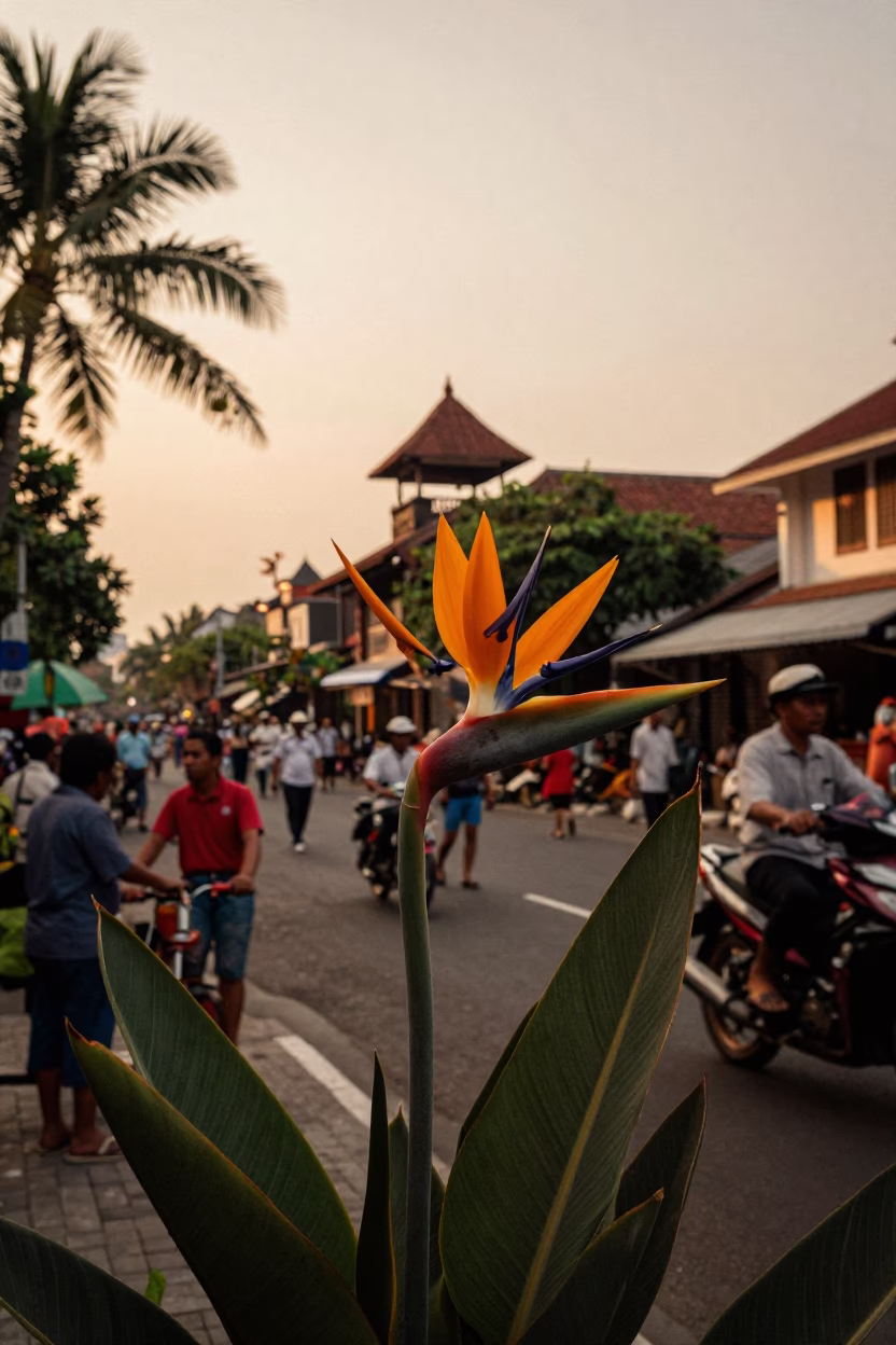 Yogyakarta Indonesia Street Scene with Bird of Paradise Flower and Evening Light in in Yogyakarta, Indonesia