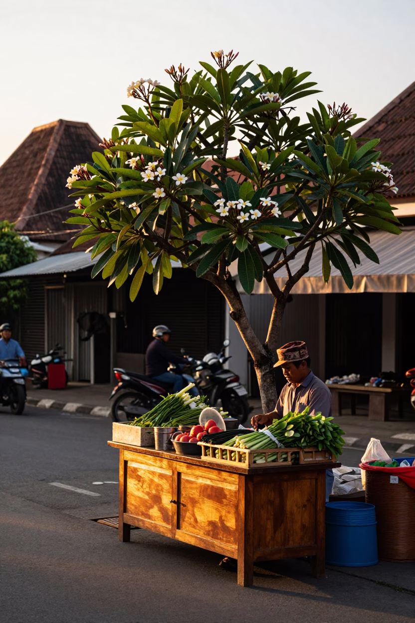Yogyakarta Indonesia Sunset Street Scene with Frangipani Flowers and Traditional Architecture in in Yogyakarta, Indonesia